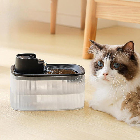 Black Plastic Cats Water Bowl for Small Dogs Kitten Puppy